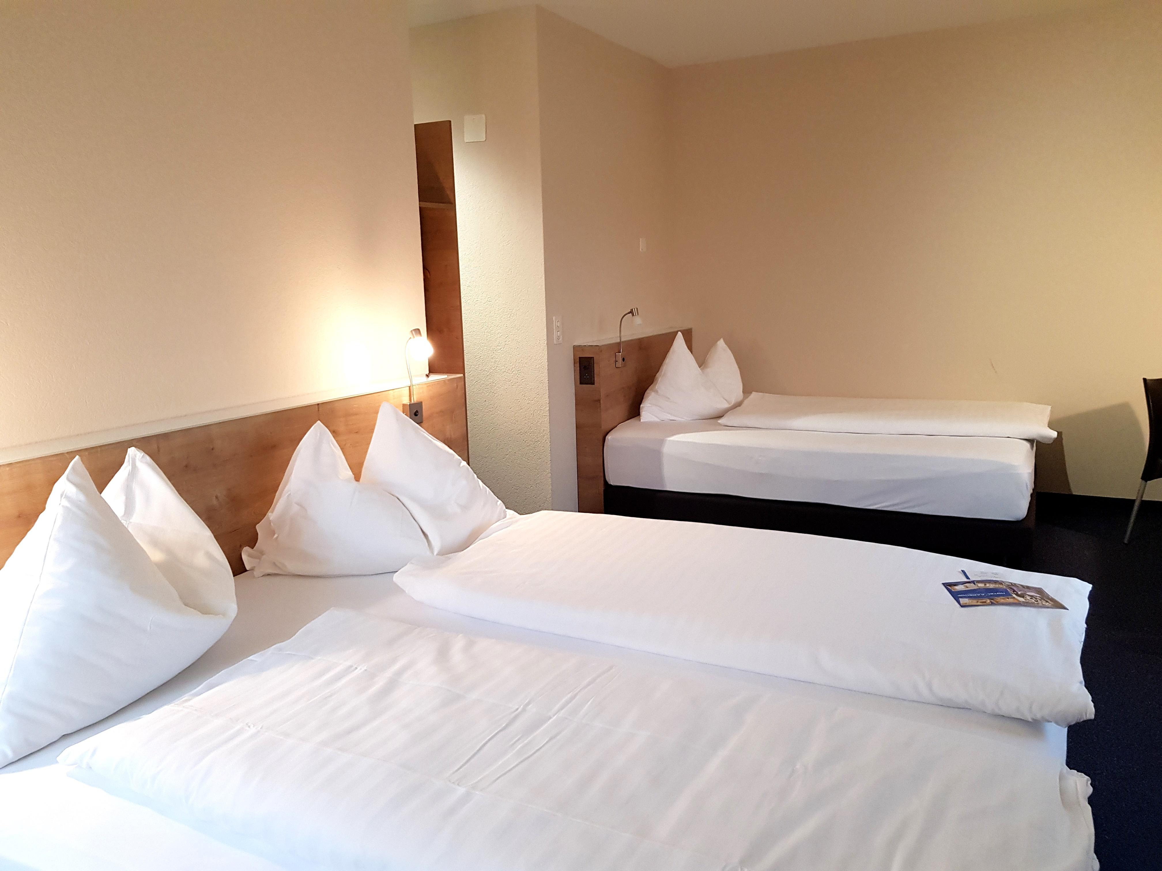 Aarehof Swiss Quality Hotel Wildegg Eksteriør billede